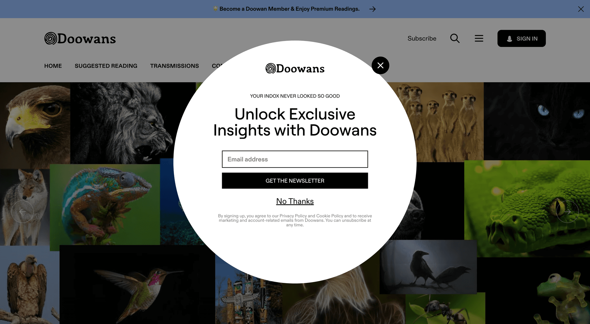 Dowans visual 2